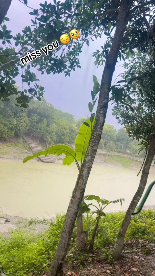 TikTok video thumbnail by farzanahossaen