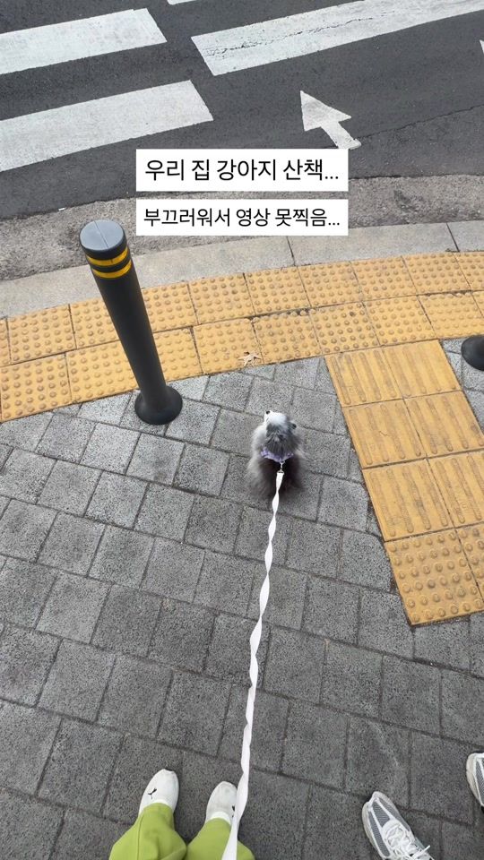 TikTok video thumbnail by song._.bom