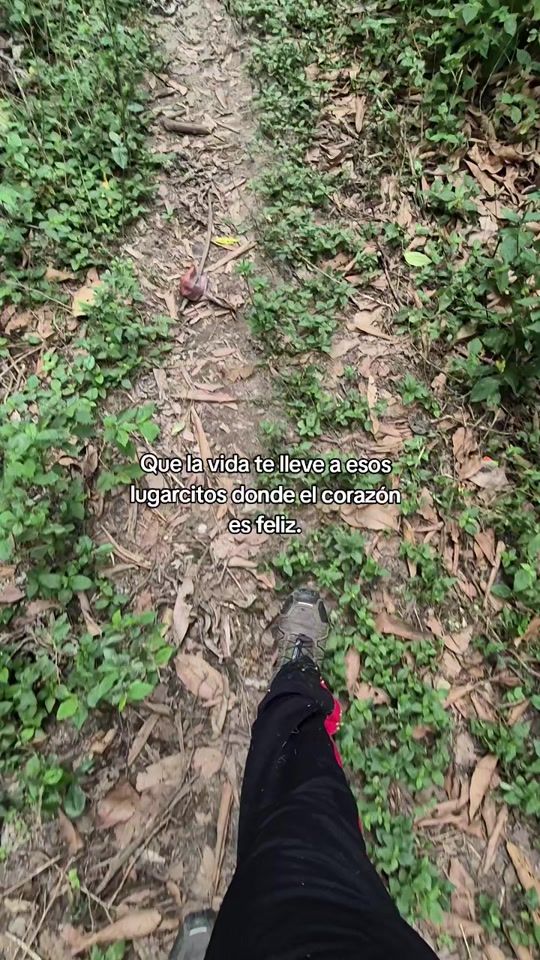 TikTok video thumbnail by viajandoconfranck