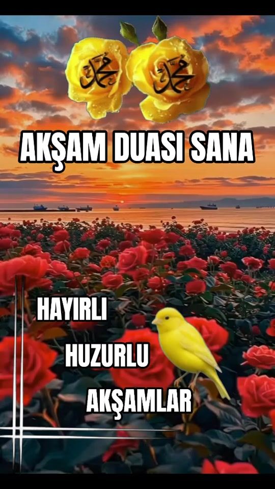 TikTok video thumbnail by zeynep._571