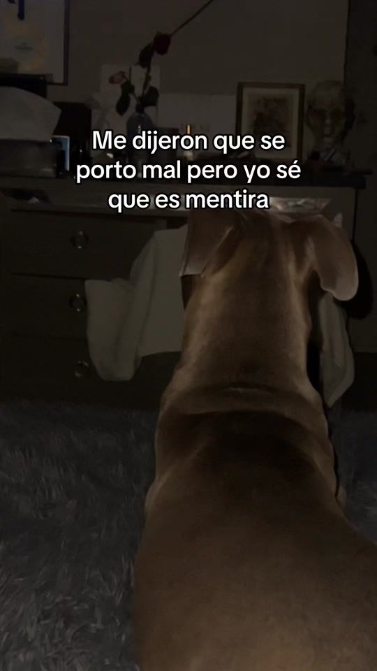 TikTok video thumbnail by ismagarram