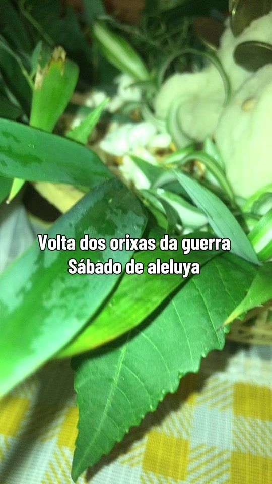 TikTok video thumbnail by ema_1628