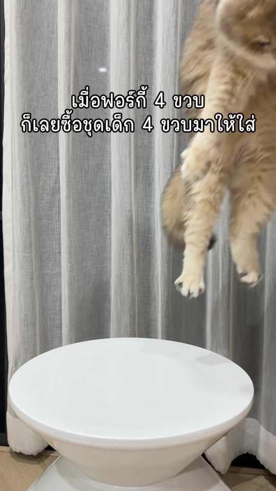 TikTok video thumbnail by forgiforfun