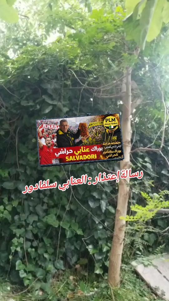 TikTok video thumbnail by biou.dz