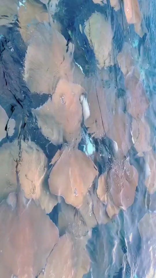 TikTok video thumbnail by riyashrestha077