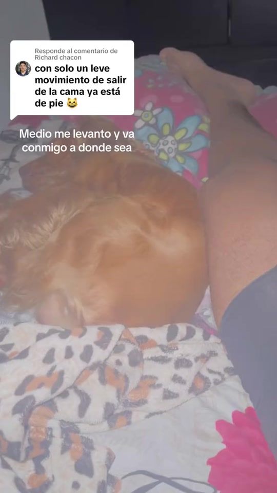 TikTok video thumbnail by yeiquintero12