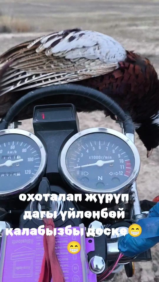 TikTok video thumbnail by kato.57