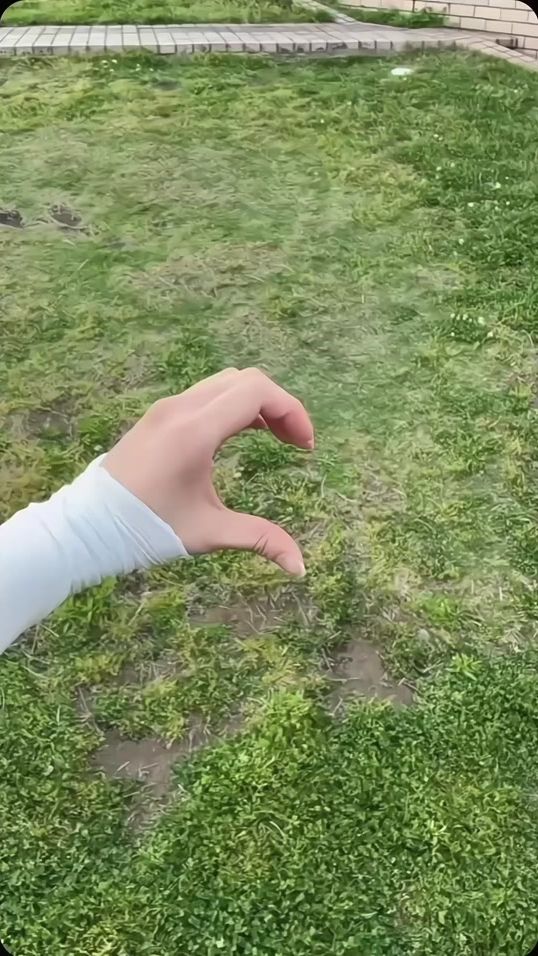TikTok video thumbnail by mitochondriami