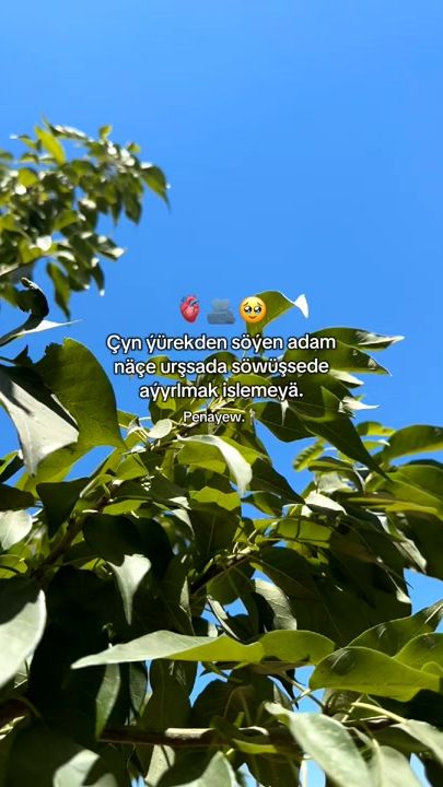 TikTok video thumbnail by penayew_7