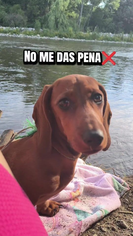 TikTok video thumbnail by janita.mastergonzalez