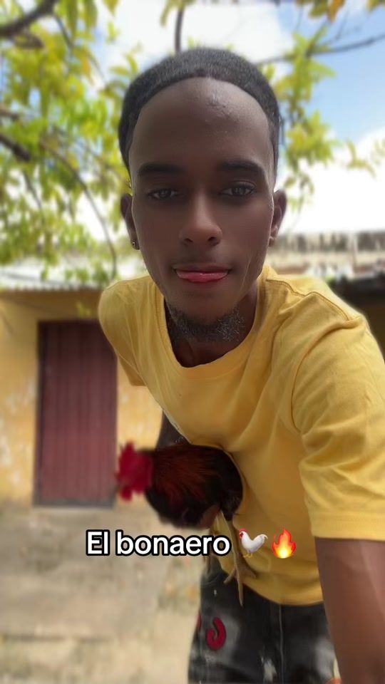 TikTok video thumbnail by trabacutihvirall
