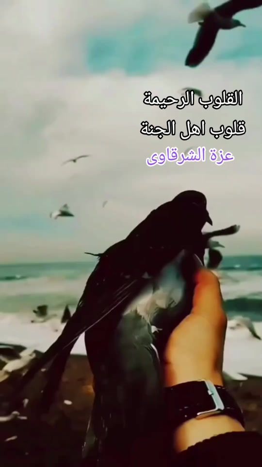 TikTok video thumbnail by 78aza