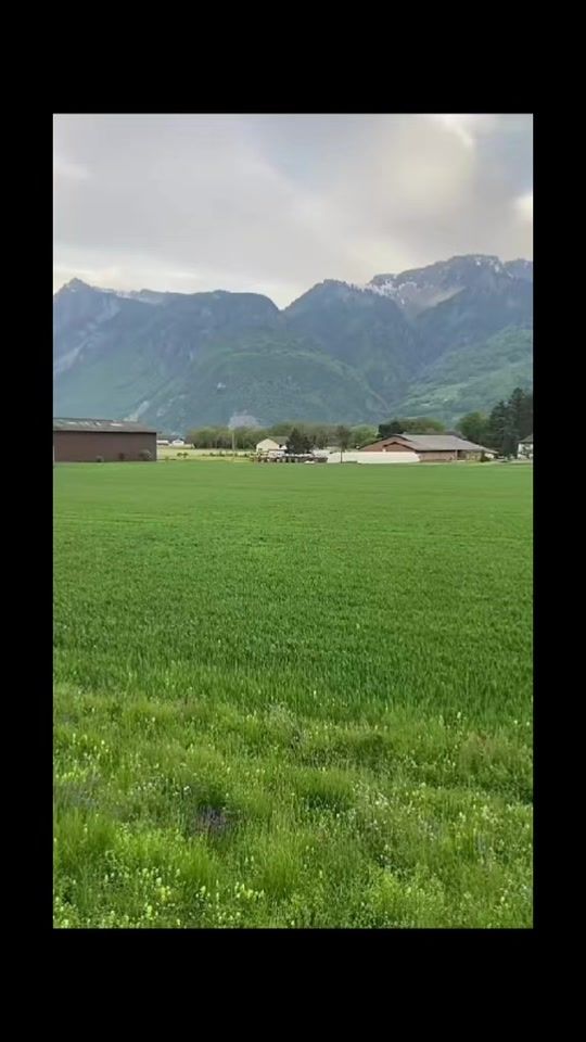 TikTok video thumbnail by ayhamasaad59
