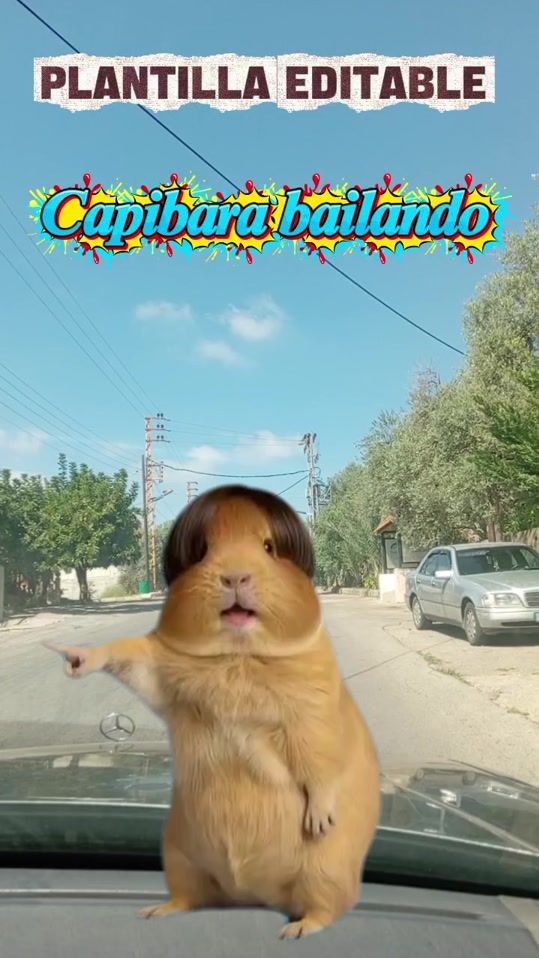 TikTok video thumbnail by emlshosh