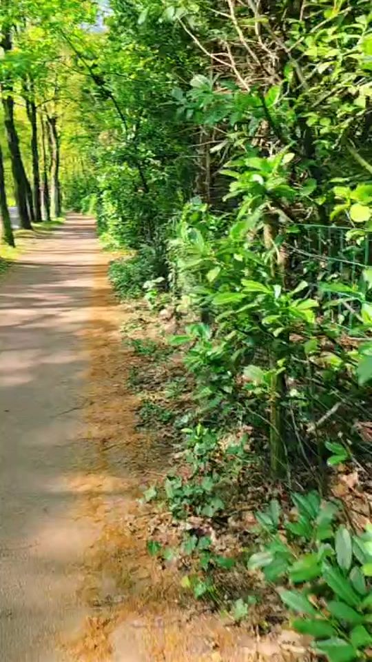 TikTok video thumbnail by prince_ajay_3