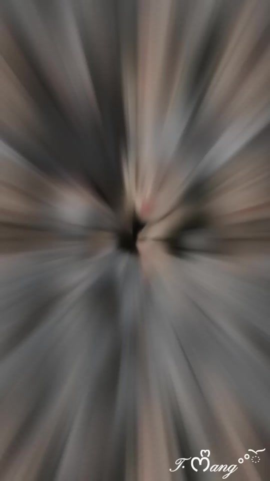 TikTok video thumbnail by qoo_5354