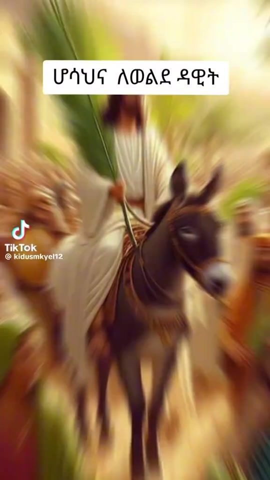 TikTok video thumbnail by 834407.tegen