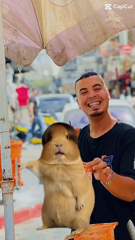 TikTok video thumbnail by hamzeawad2