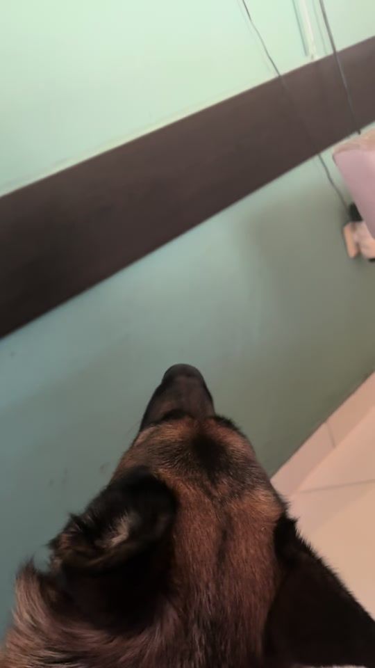 TikTok video thumbnail by njosa0