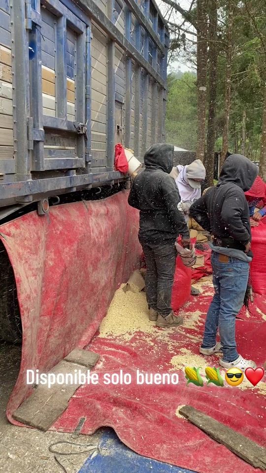 TikTok video thumbnail by davidvills4