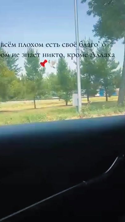 TikTok video thumbnail by nozjonnnnn