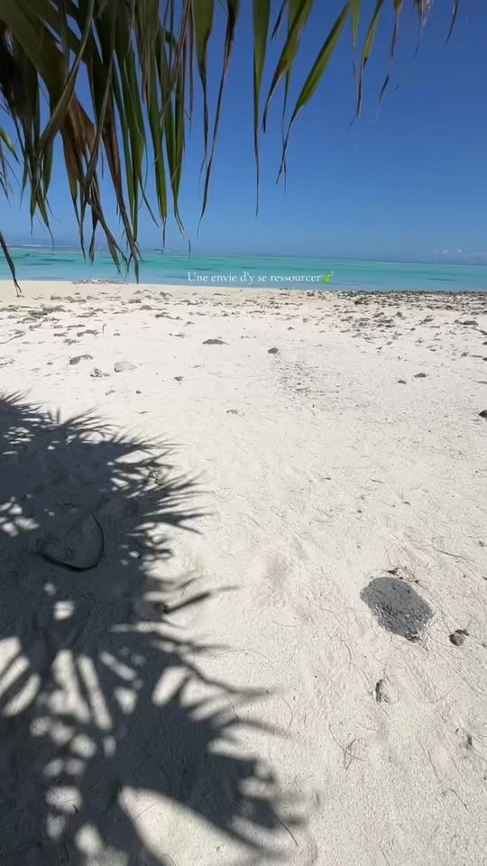 TikTok video thumbnail by hei_ata6