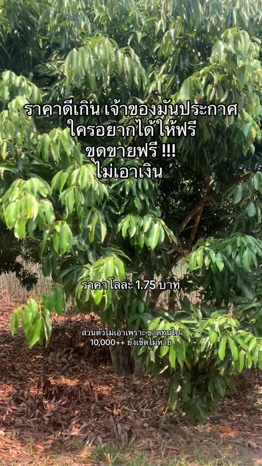 TikTok video thumbnail by go.with.alone