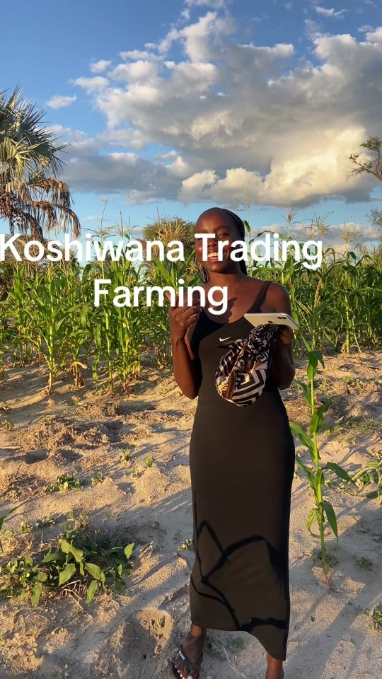 TikTok video thumbnail by koshiwana