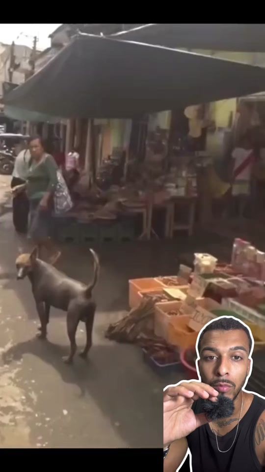 TikTok video thumbnail by adestradorcaio