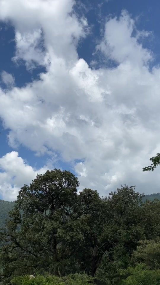 TikTok video thumbnail by potrillo.h