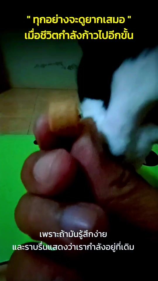 TikTok video thumbnail by tuk1927