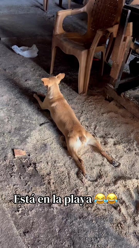 TikTok video thumbnail by karito.cornejo72