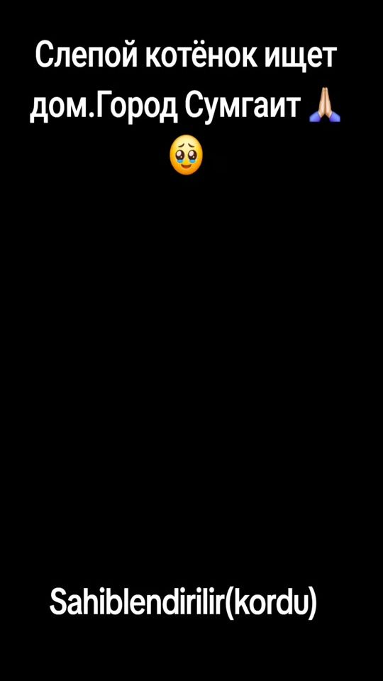 TikTok video thumbnail by little.syuzzi