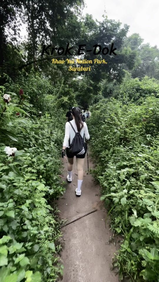 TikTok video thumbnail by ginggingwara