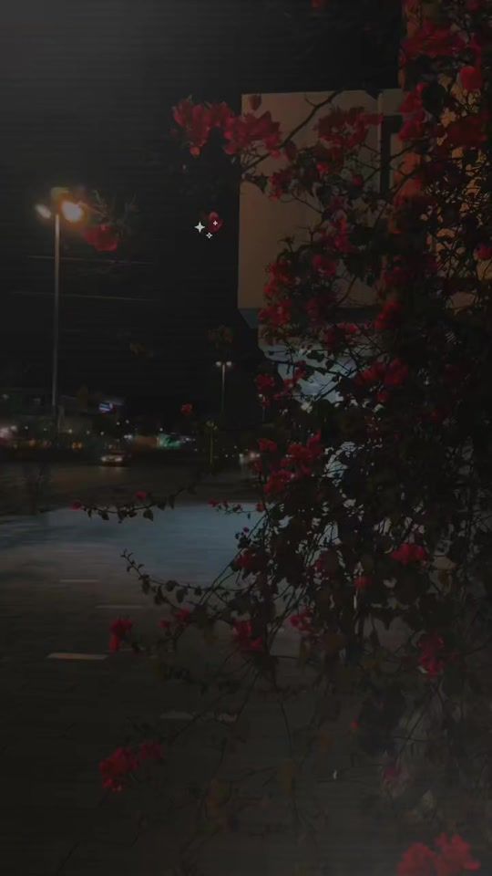 TikTok video thumbnail by _shah_ji_
