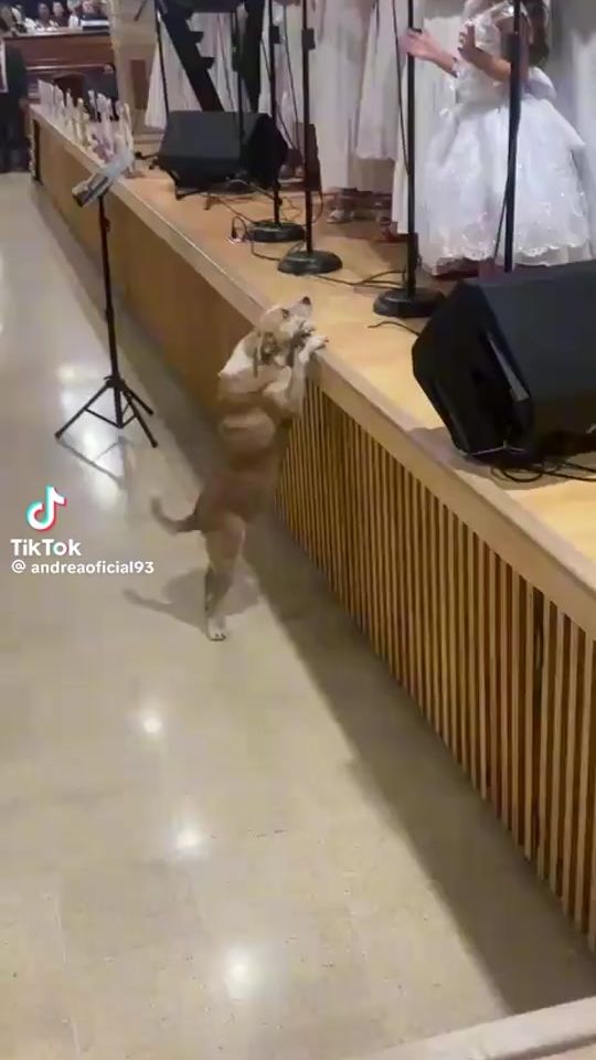 TikTok video thumbnail by mehmet__faik_1