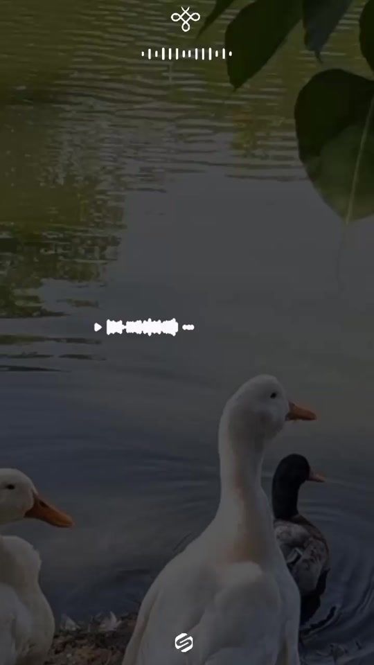 TikTok video thumbnail by .thatsquadi