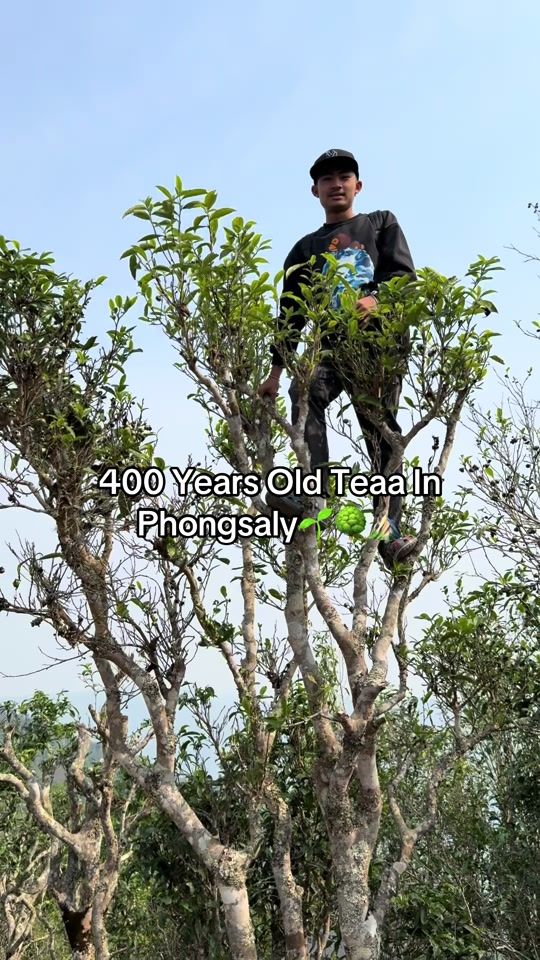 TikTok video thumbnail by bandith_1