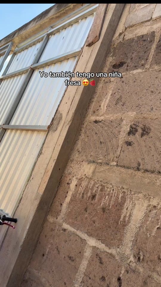 TikTok video thumbnail by mxch_montes