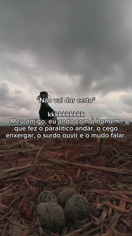 TikTok video thumbnail by brno_62
