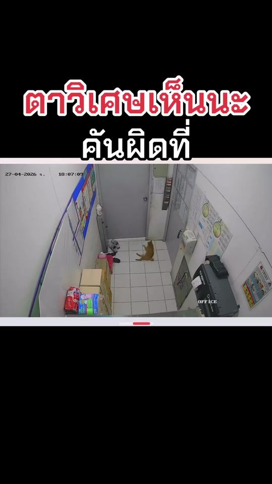 TikTok video thumbnail by mahathep_noth