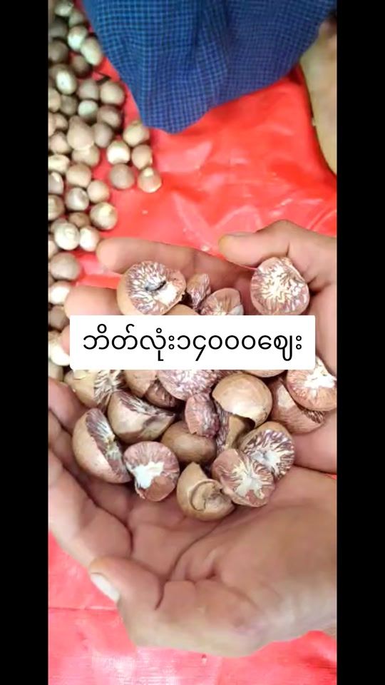 TikTok video thumbnail by ukanheinnadioffical