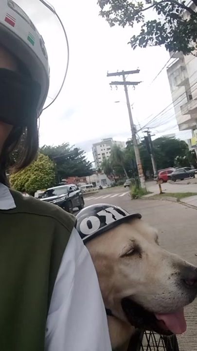 TikTok video thumbnail by motoniko7