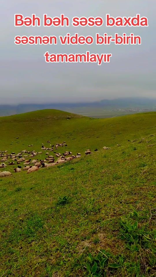 TikTok video thumbnail by quba_0040