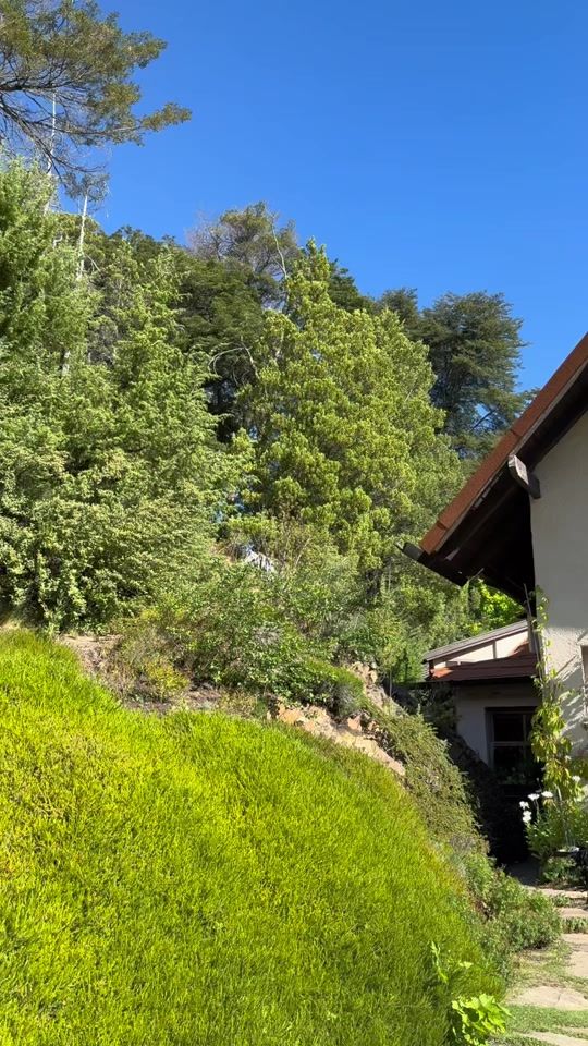 TikTok video thumbnail by calimaucci