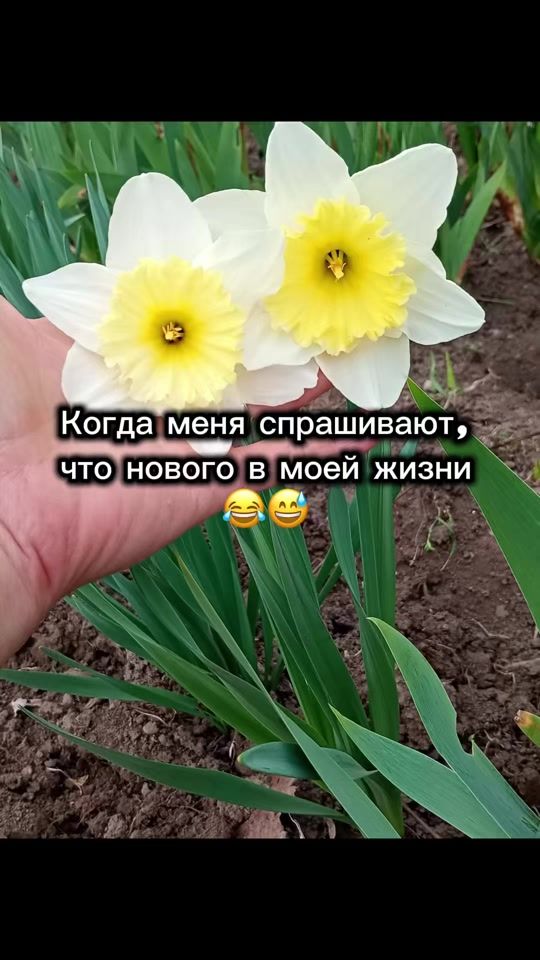 TikTok video thumbnail by fata_tati1