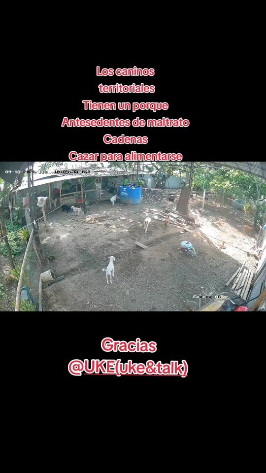 TikTok video thumbnail by refugiop.r.a.t
