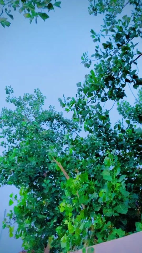 TikTok video thumbnail by user45168445h