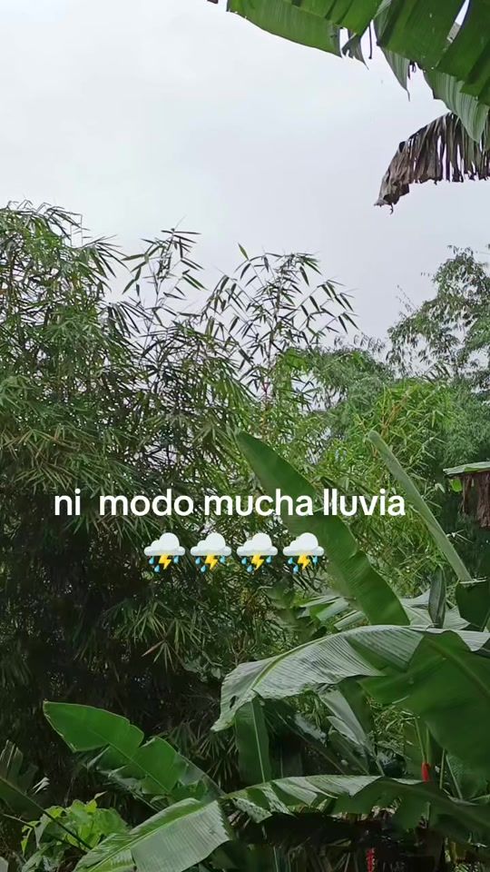 TikTok video thumbnail by cecypaccha