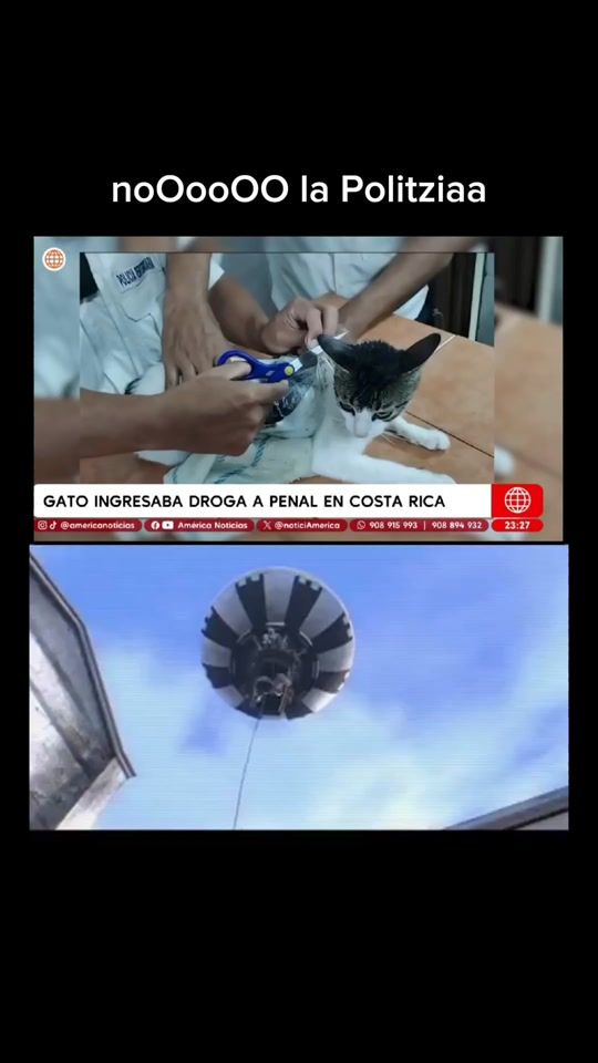 TikTok video thumbnail by gaviangelfv